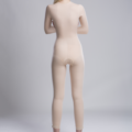 MHB_new_model_02_2016_detail